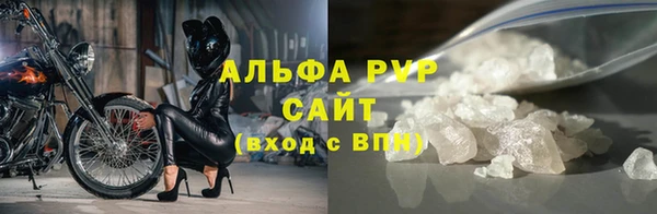 стафф Бородино