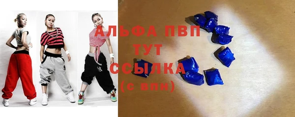 мдпв Богородск