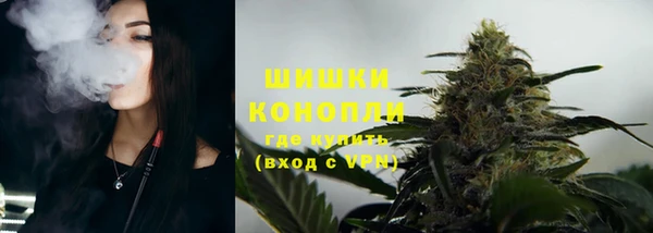 стафф Бородино