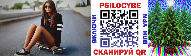 Псилоцибиновые грибы Psilocybe  Городовиковск 